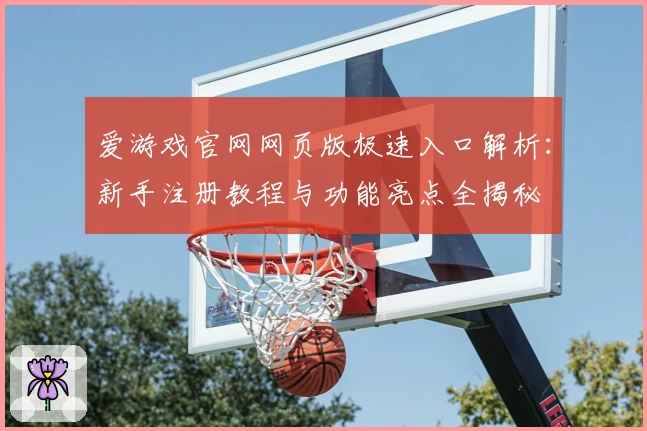 爱游戏官网网页版极速入口解析：新手注册教程与功能亮点全揭秘