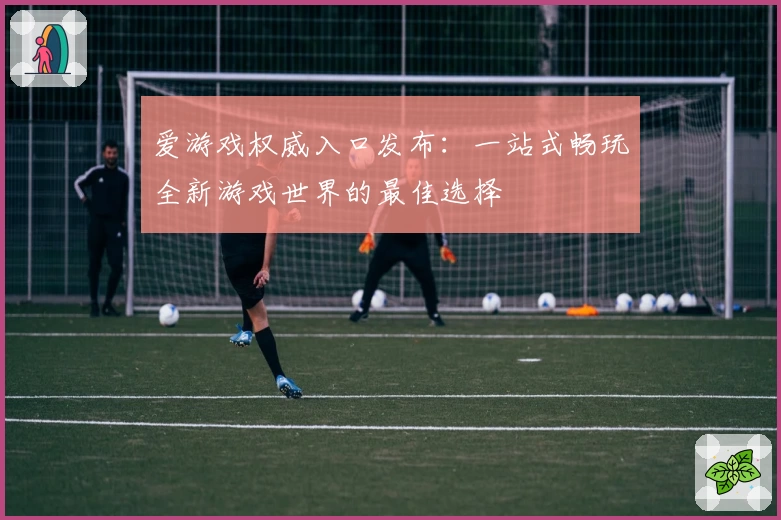 爱游戏权威入口发布:一站式畅玩全新游戏世界的最佳选择